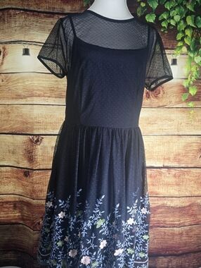 Francesca's Collections Blue Dress with Floral Embroidery